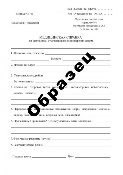 Справка в пионерский лагерь в Самаре